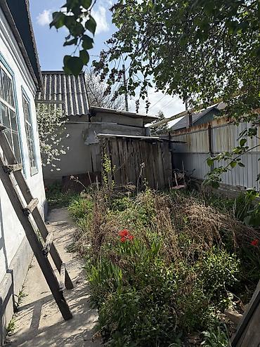 Продажа коттеджей и домов: Продается дом с участком 8,5 соток маевка Участок правильной формы — 14