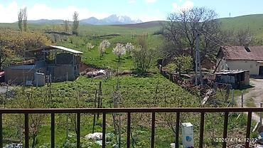 Долгосрочная аренда домов: 220 м², 6 комнат — 4