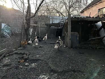 Продажа коттеджей и домов: Продается дом с участком в очень перспективной локации — ул — 8