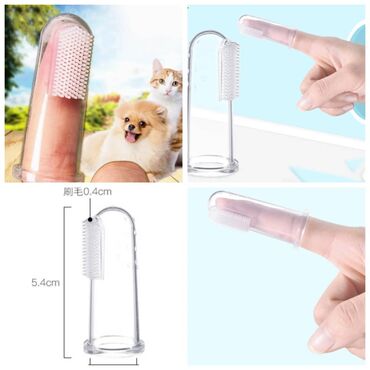 Зоотовары: ПРОДАЮ КОШАЧЬЮ МЯТУ(АНТИСТРЕСС),ПОРАДУЙТЕ СВОГО КОТИКА ТАКОЙ at lalafo.kg — 8 Зоотовары: ПРОДАЮ КОШАЧЬЮ МЯТУ(АНТИСТРЕСС),ПОРАДУЙТЕ СВОГО КОТИКА ТАКОЙ — 8