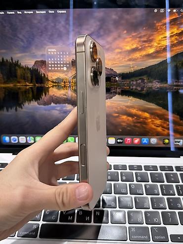 реми: IPhone 16 Pro, Б/у, 256 ГБ, Desert Titanium, Защитное стекло, Чехол, 86 % — 4