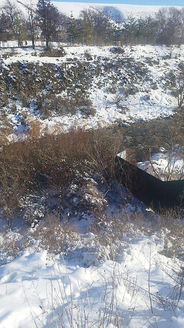 Продажа участков: 4 соток, Красная книга — 9