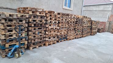 Otaq bitkiləri: 80×120 hal hazirda elde var isdeyen elaqe saxlasin