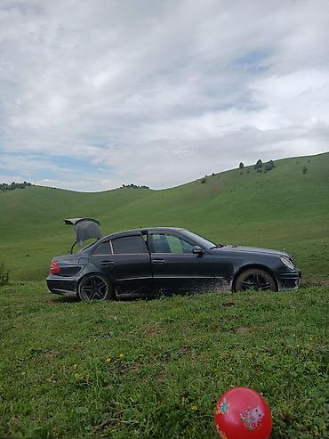 124 e500: Mercedes-Benz E-Class: 2003 г., 5 л, Автомат, Бензин, Седан — 3