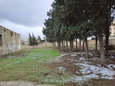 Kommersiya daşınmaz əmlakının satışı: 25 SOT TORPAQ SAHESI SATILIR!!! icinde 200 kvd liq tikili -da lalafo.az — 6 Kommersiya daşınmaz əmlakının satışı: 25 SOT TORPAQ SAHESI SATILIR!!! icinde 200 kvd liq tikili — 6