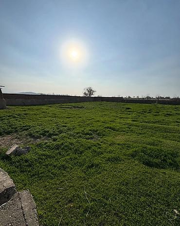 Продажа участков: 125 соток — 11