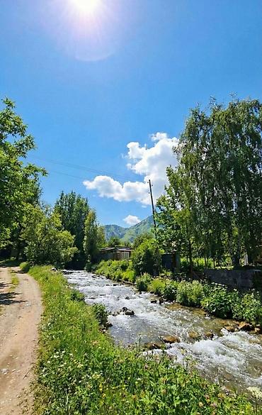 Продажа дач: 🏡🔥 ДАЧА У РЕКИ | АРАШАН 🌊⛰️ 📍 Закрытый кооператив “Предгорный” ✅ — 7