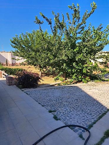 Torpaq sahələrinin satışı: Satılır torpaq 6 sot, Şüvəlan q. 🏡 SATILIR – 6 SOT TORPAQ SAHƏSİ — 1
