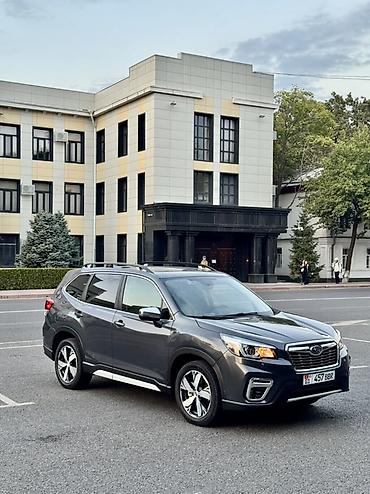 суббару форестер: Subaru Forester: 2020 г., 2.5 л, Вариатор, Бензин, Кроссовер — 3