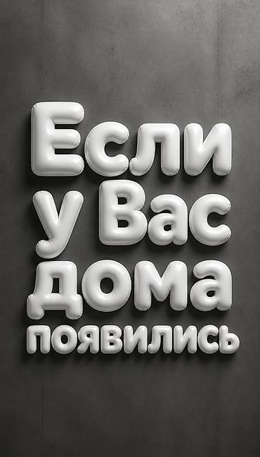 компании: 🎬 Монтаж Reels и TikTok для бизнеса. 🖥 Реклама для LED-экранов. 🤖 — 5
