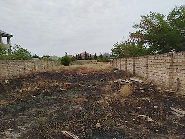 fatmayı: 12 sot, Tikinti, Maklerlər narahat etməsin, Kupça (Çıxarış) — 2