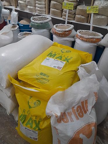 yemlər: Buğda - 0.42 q. hazır 50 kg kisələrdə Ünvan: Binə savxoz.( Çox alana — 5
