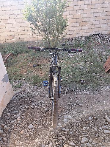 velosiped arenda: MTB tipli dağ velosipedi Xüsusiyyətlər: - Geniş protektorlu MTB — 1