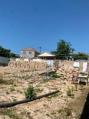 bulbule qesebesi: 5 sot, Tikinti, Kupça (Çıxarış) — 5