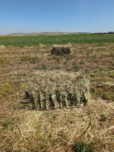 сена драбилка: Продаём тюки сена - эспарцет с клевером и разнотравием, основная трава