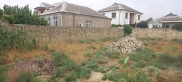 6 sot, Tikinti, Mülkiyyətçi, Kupça (Çıxarış)