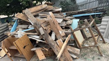 карагач кругляк: Тактайлар, Жалбырактуу бактар