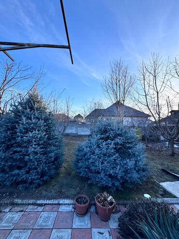 Продажа домов: Дом, 60 м², 3 комнаты, Риэлтор, Косметический ремонт — 7