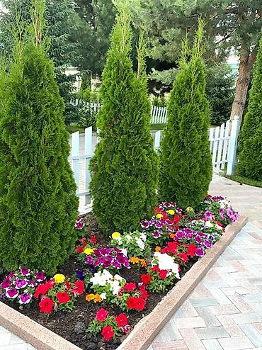 випка каракол: Коттедж в цо “karven four seasons” площадью 120кв.М. 3х комнатный дом — 3