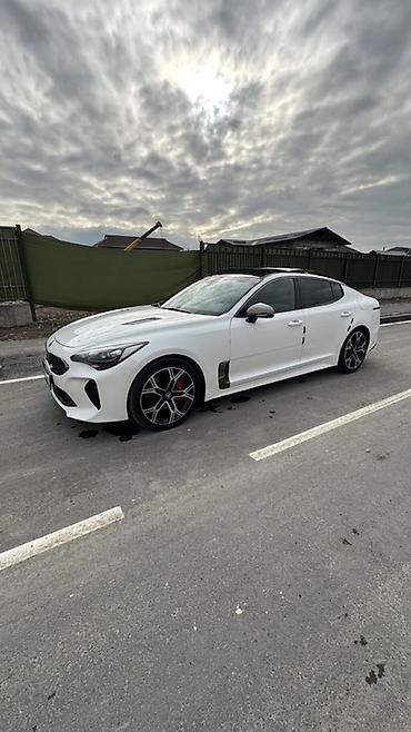 Kia: Kia Stinger: 2018 г., Бензин at lalafo.kg — 12 Kia: Kia Stinger: 2018 г., Бензин — 12