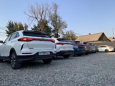 Другие аксессуары внешнего декора: Линейка кроссоверов (на фото — несколько экземпляров одного семейства) — 2