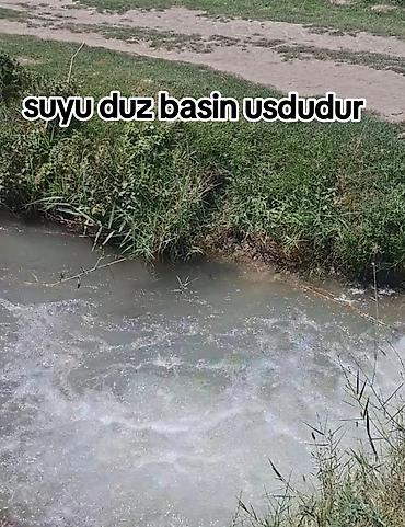 mx group inşaat: Kənd təsərrüfatı — 2