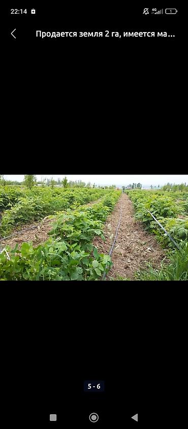 Продажа участков: 200 соток, Для бизнеса, Договор купли-продажи at lalafo.kg — 14 Продажа участков: 200 соток, Для бизнеса, Договор купли-продажи — 14