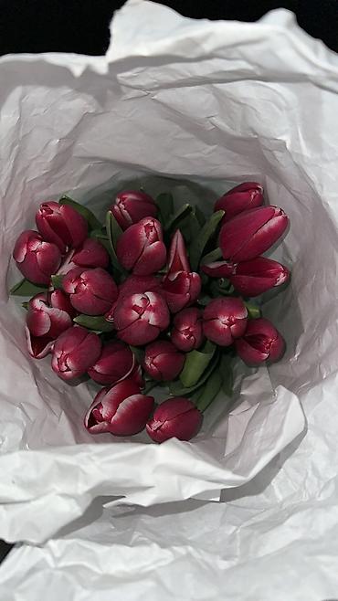 Букеты из живых цветов: Букеты тюльпанов - Срезанные тюльпаны в крафтовой и белой бумаге — 3