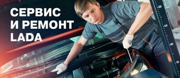 гольф 2 1.6 дизель: Компьютерная диагностика, Замена масел, жидкостей, Плановое техобслуживание, без выезда