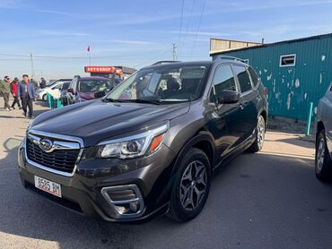 бмв 2019: Subaru Forester: 2019 г., 2.5 л, Бензин, Внедорожник