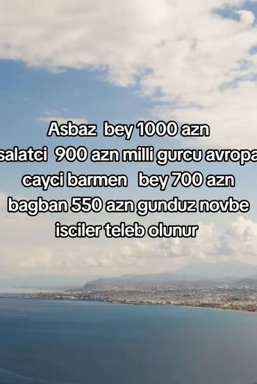 Швейное дело: Aşbaz, salatçı, çayçı, barmen və bağban vakansiyaları üçün işçi