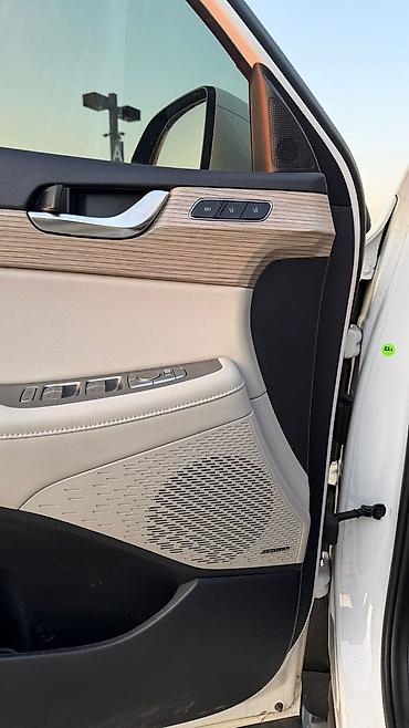 Hyundai: Hyundai Palisade: 2020 г., 2.2 л, Автомат, Дизель, Кроссовер — 6