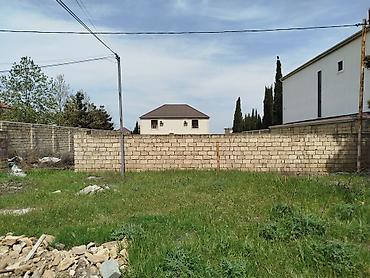 fatmayı: 8 sot, Maklerlər narahat etməsin, Kupça (Çıxarış) — 3