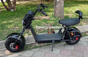 мотоциклы альфа: Электроскутер Citycoco (стиль «чопер-байк») Электропривод, широкий