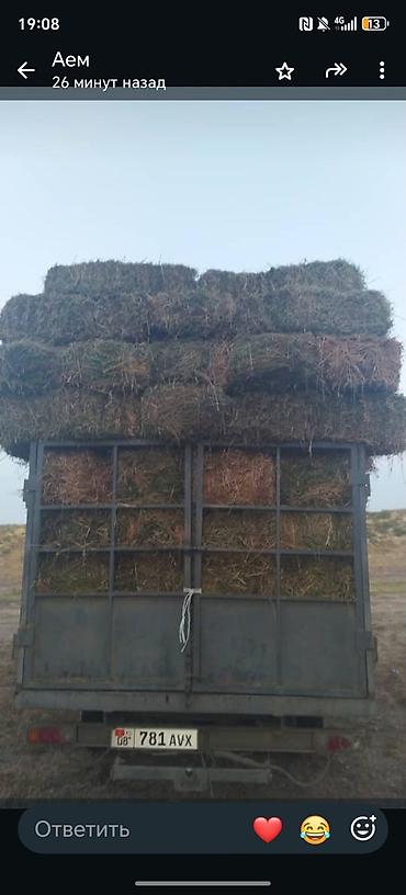 Сено в тюках
Клевер хороший есть доставка 140шт