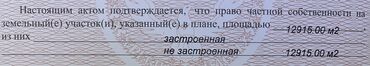 продается орошаемая земля в жайылско районе алтыр будёновка 5 40 гектар цена договорная с довой проблем нету оформление сразу: 129 соток, Бизнес үчүн, Кызыл китеп