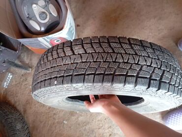 шины шипованные бу: Шиналар 185 / 70 / R 14, Кыш, Жаңы, Жуп, Жүк ташуучу унаалар/Автобустар