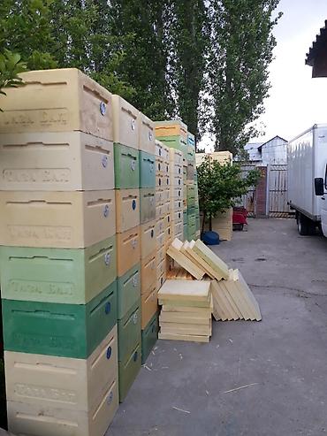 Другие с/х животные: Ульи для пчёл Преимущества ППУ ульев Пенополиуретан (ППУ) -Это — 20