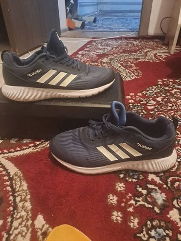 лоро пиано обувь цена бишкек: Эркектердин кроссовкасы, 41, Adidas, Колдонулган, түсү - Көк, Өзү алып кетүү
