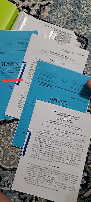 племенные хозяйства в кыргызстане: Рыбное хозяйство, 59 соток, Действующий, Электричество — 6