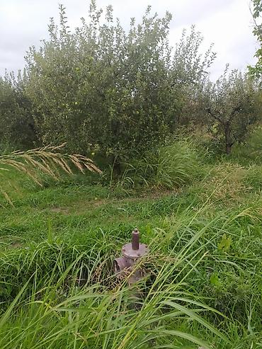 xaçmaz motoblok satışı: Kənd təsərrüfatı — 1