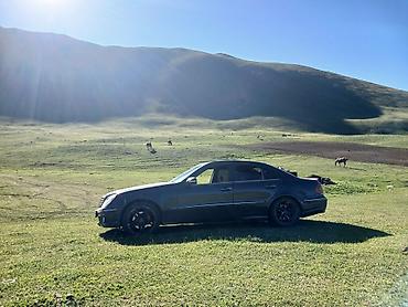 124 e500: Mercedes-Benz E-Class: 2003 г., 5 л, Автомат, Бензин, Седан — 1