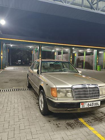 byd e9 1: Mercedes-Benz E-Class: 1989 г., 2.3 л, Бензин — 2