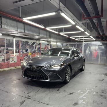 фонари на авто: Lexus ES: 2024 г., 2.5 л, Вариатор, Гибрид, Седан