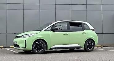 mini ev: BYD D1: 2021 г., 1 л, Робот, Электромобиль, Хэтчбэк — 1