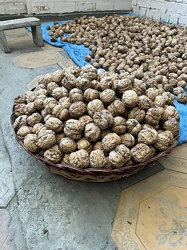 Грецкий орех в скорлупе - Натуральные грецкие орехи, подсушенные и