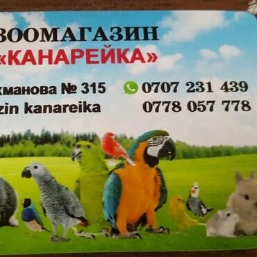 Зоотовары: Вольеры для птиц! at lalafo.kg — 9 Зоотовары: Вольеры для птиц! — 9