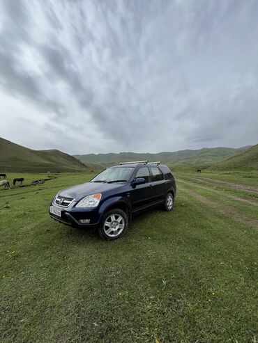 машину хонда: Honda CR-V: 2004 г., 2 л, Автомат, Бензин, Кроссовер