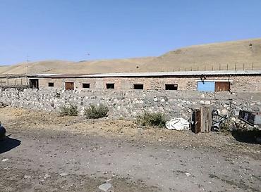 кашао: Кошара, 120 соток, Действующий, С оборудованием, Частично с оборудованием, Газ, Электричество, Отопление — 2
