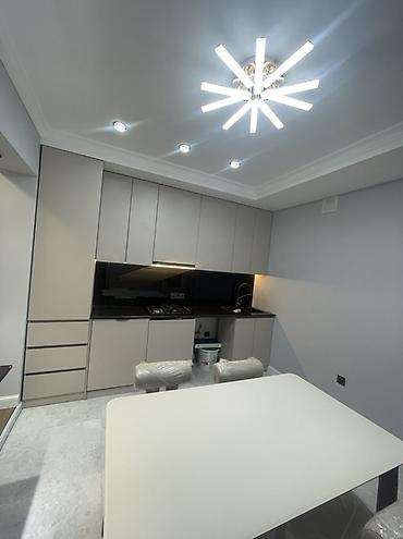 кв в канте: 1 комната, 48 м², сквер Тоголок Молдо 108 серия, 1 этаж, Дизайнерский ремонт — 8